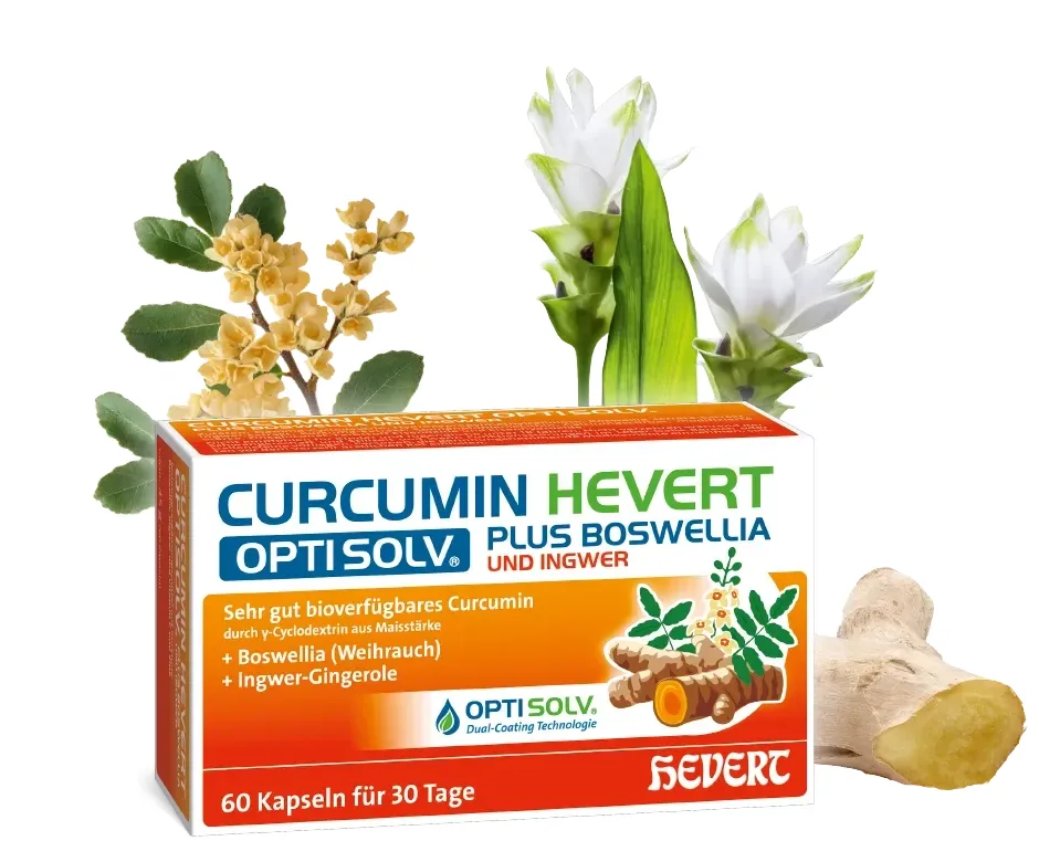 Pack of Curcumin HEVERT OPTISOLV® plus Boswellia und Ingwer