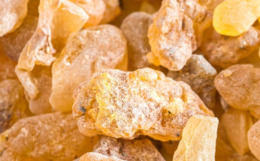 Boswellia serrata resin, source of OPTISOLV® Boswellia